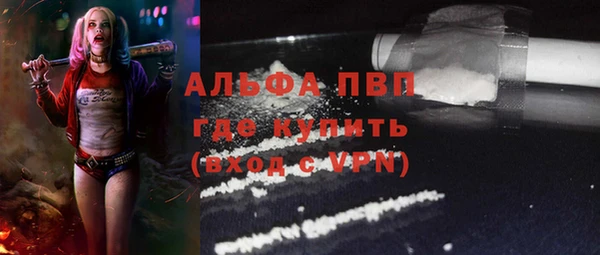 spice Каменка