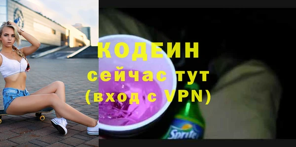 spice Каменка