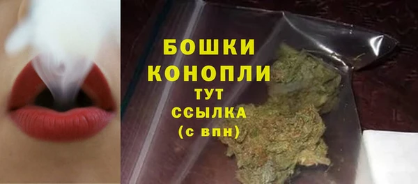 spice Каменка