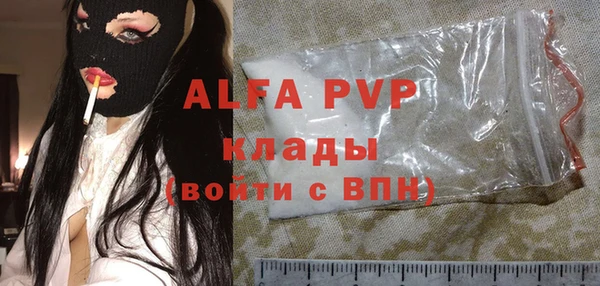 spice Каменка