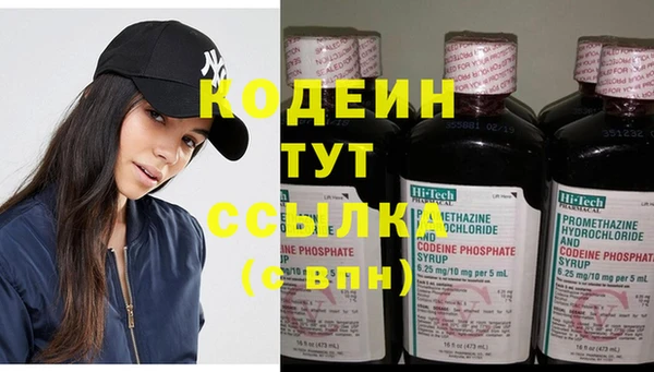 spice Каменка