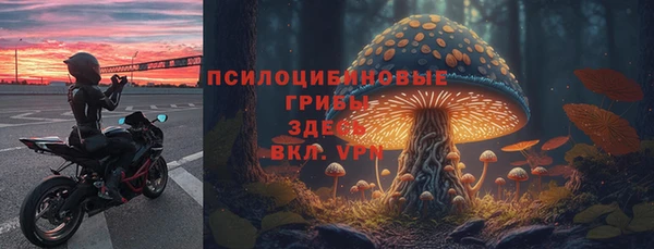 марки nbome Карпинск