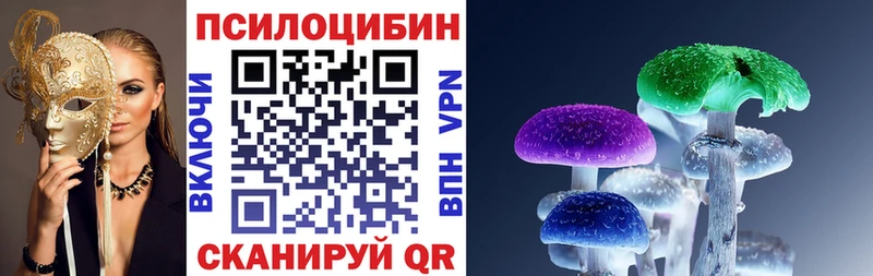 Купить  Среднеколымск  Галлюциногенные грибы Cubensis 